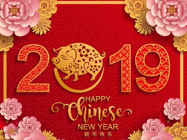 金豬送喜辭舊歲，雙志陪您慶新春！